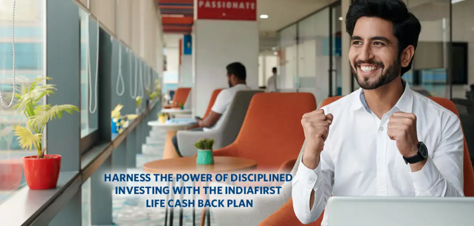 Disciplined Investing Made Simple with Cash Back Plan