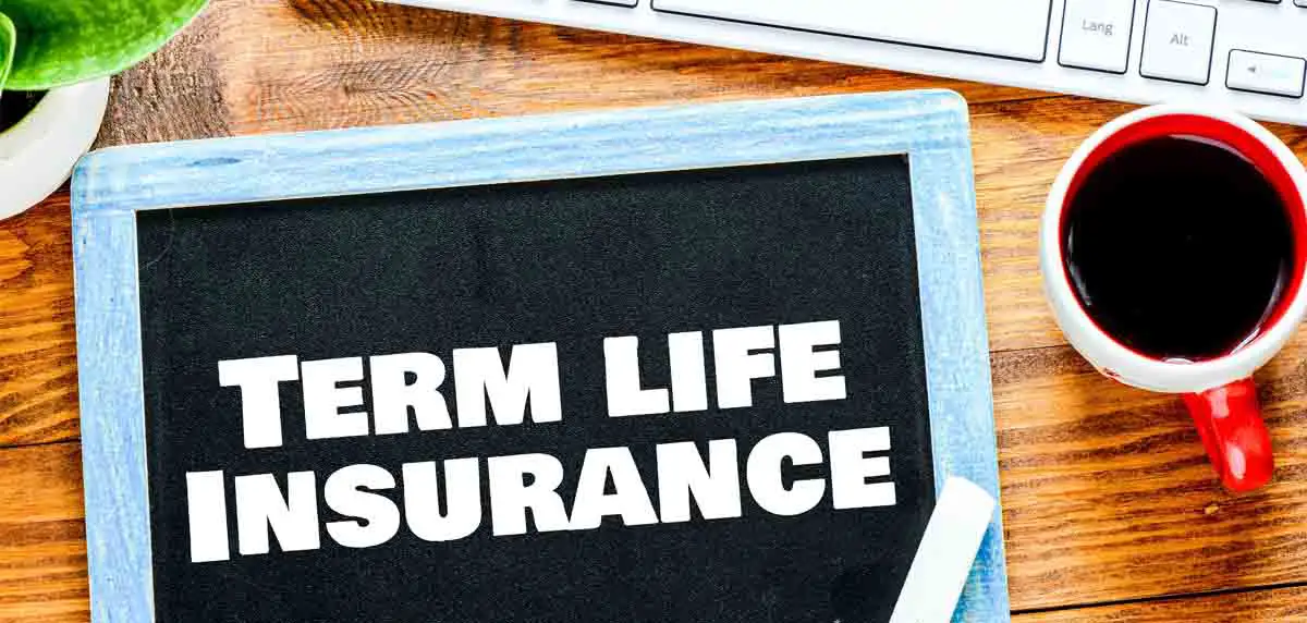 Can I Buy Multiple Term Insurance Plans?