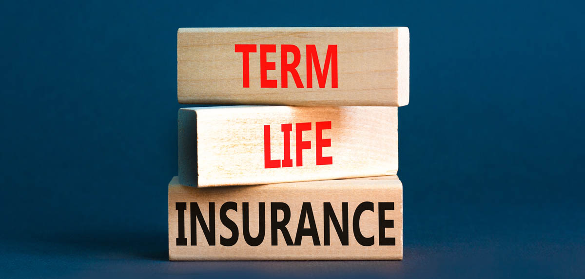 What is Level Term Insurance?
